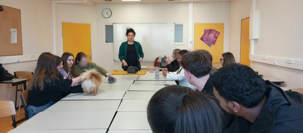 Intervention d&rsquo;Ani&rsquo;nomade pour les 2CI et 2SAM